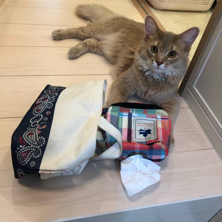 D9b25de4 2694 4198 968e ae65e8097477 1559002707053