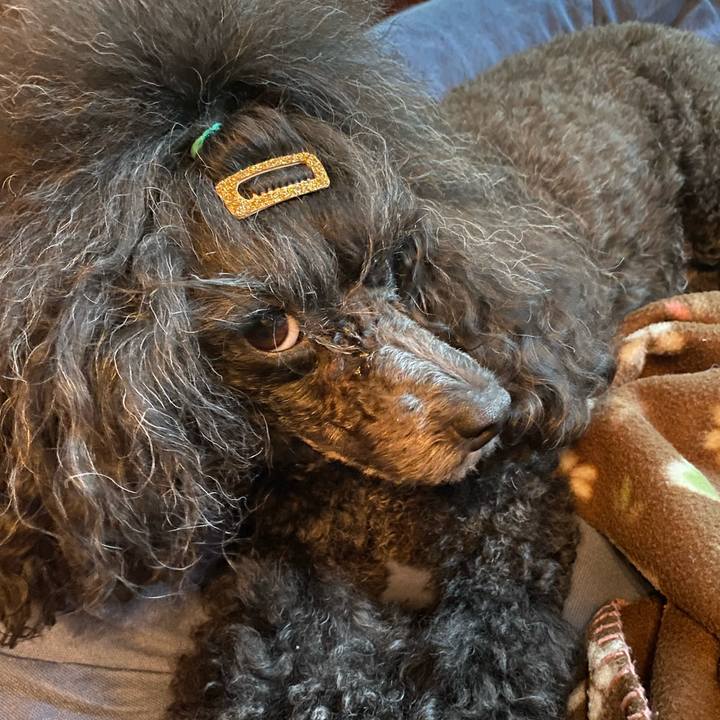 D9b25ef2 d150 4c4a be5b b1827ad2cacb 1662090234216