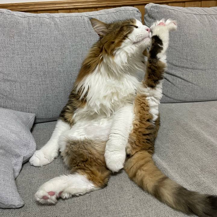 D9b26b2e af53 4994 bd60 a51ca6c37ef0 1756409661370