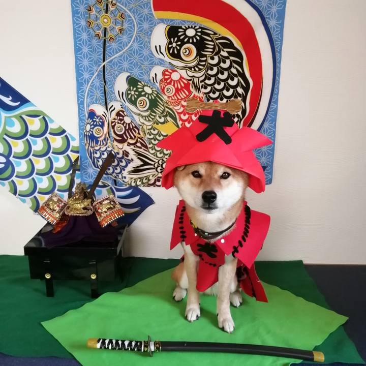 D9b2bcfb ebe9 4d18 9dd6 7bef305c2c95 1588841196274