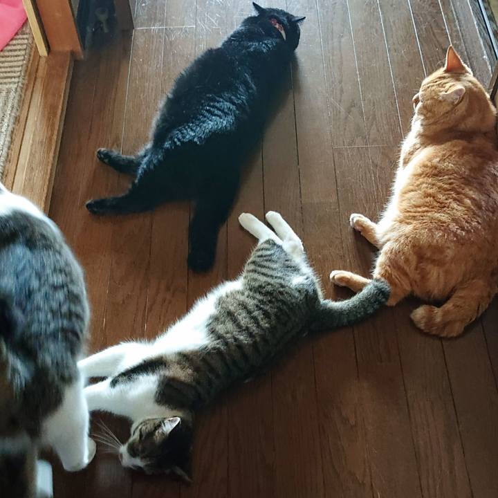 D9b2c281 6f19 408b a974 7bdd853e2c4b 1564622258860