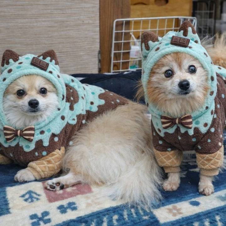 D9b3303a 0e83 40e2 a698 c622d7c42922 1767131818777