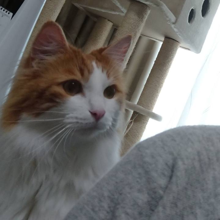 D9b3305d 238e 408e b9c7 df53949cf532 1529289616339