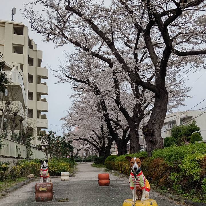 D9b35824 4f8b 4465 8f31 4b572f05c016 1712097820330