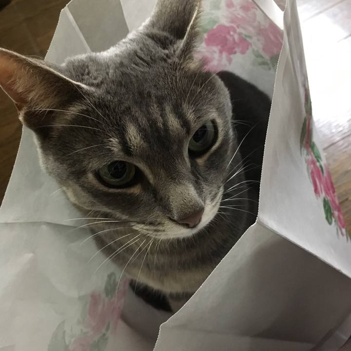 D9b377ec 0a29 4737 9230 dec012825f6a 1522850367961