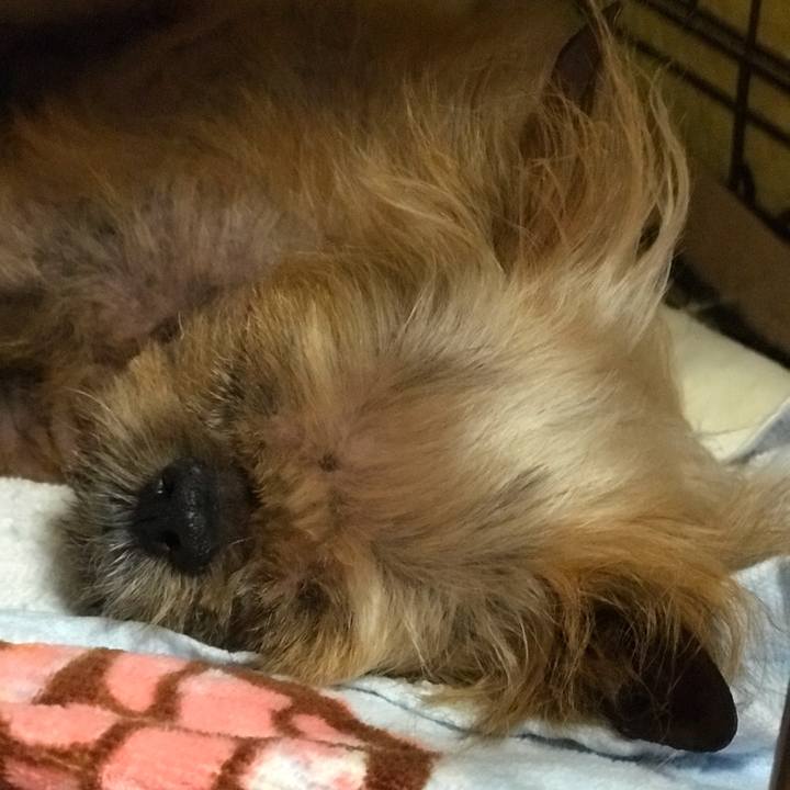 D9b3788b fb49 45a1 ac74 08633cc6a90c 1559738297541