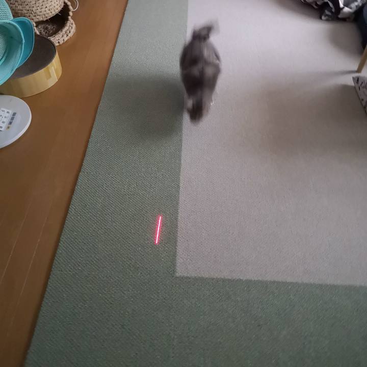 D9b384ca 2a4d 44e0 ace9 6bcd36455d3e 1589777413698