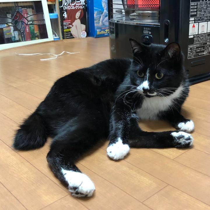 D9b38a1a e5c2 4342 932f 4339dd594c6f 1551670327812