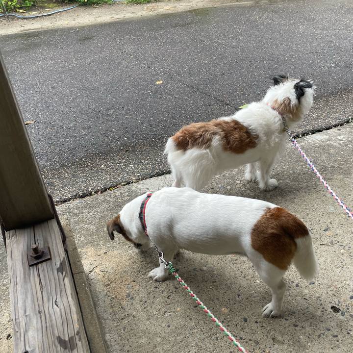 D9b452e0 f3da 4fd8 9a6e f1b1234139cf 1758407642145