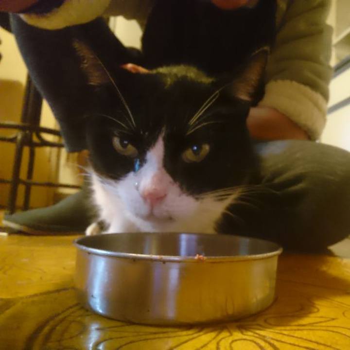 D9b47469 5826 4a38 b987 37a546650a32 1573902432804