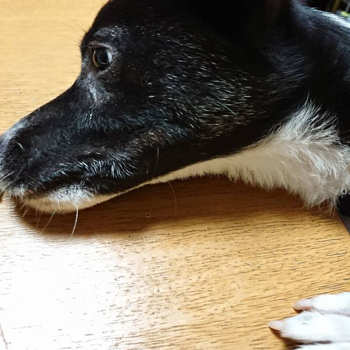 D9b4753e 2b82 4ffb b655 e19e30908afe 1508156649492