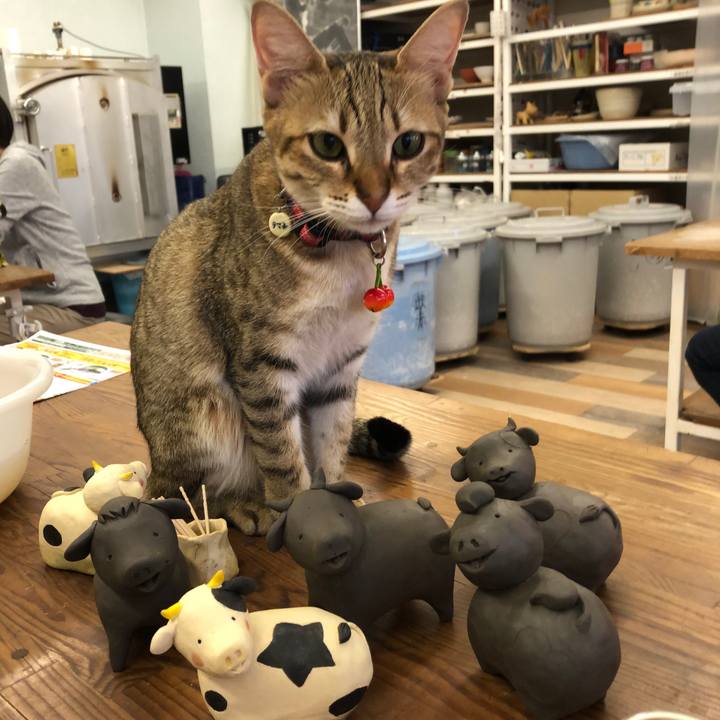 D9b48e89 1fa7 49bb 8bda ffd487414c75 1603674362262