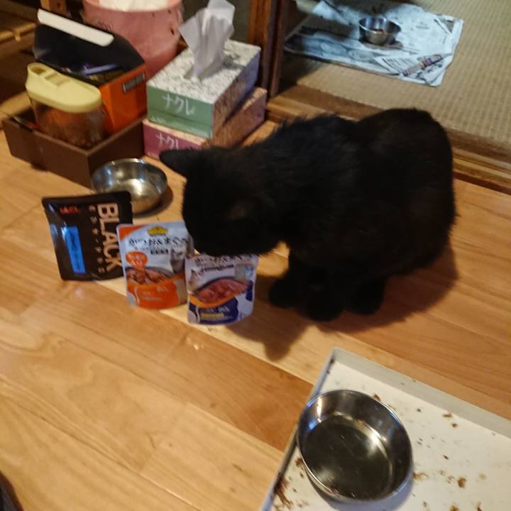 D9b4b10b 981b 425c bac3 f6eaa743c4e7 1623580269030