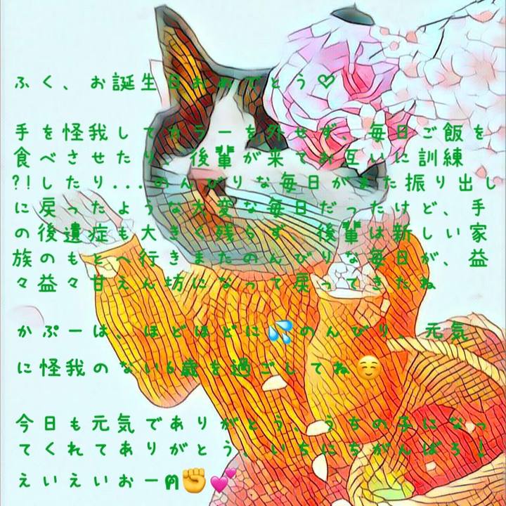D9b4c132 2923 4c3a 97a7 536cc6eed3af 1655252484743