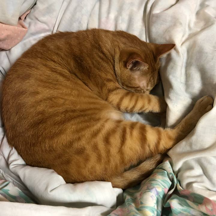 D9b4c3b5 a23f 4387 8d3a ed507986bdf2 1603287334652