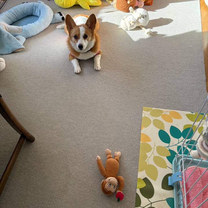 D9b4c3c3 3b0f 46c3 82a0 3a475bcb2ef9 1772952128146