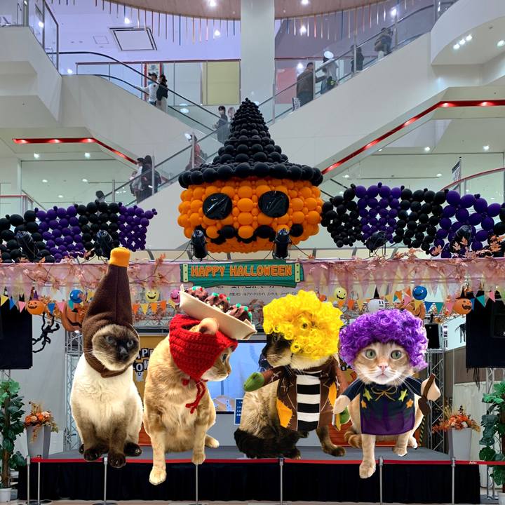 D9b4fb5f c1db 4595 972e 2a969c5f2e0f 1635132908126