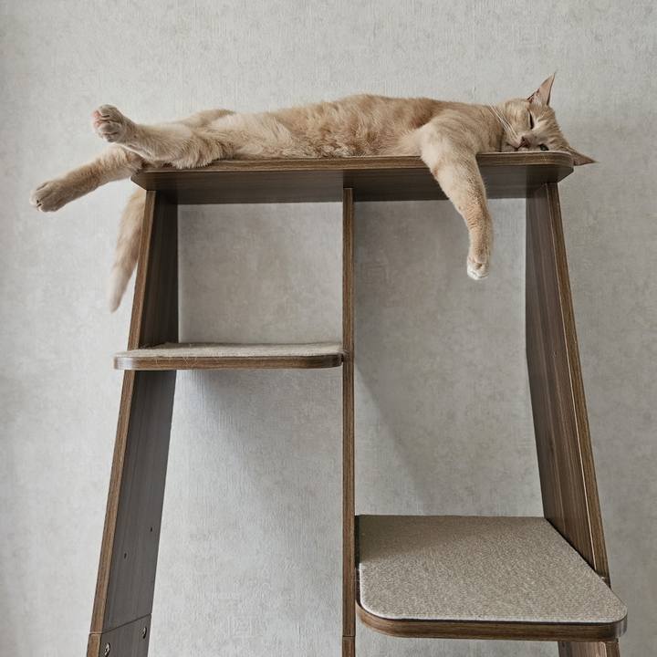 D9b50720 d3b5 480f b30b 70e1f8d030a8 1694992701684