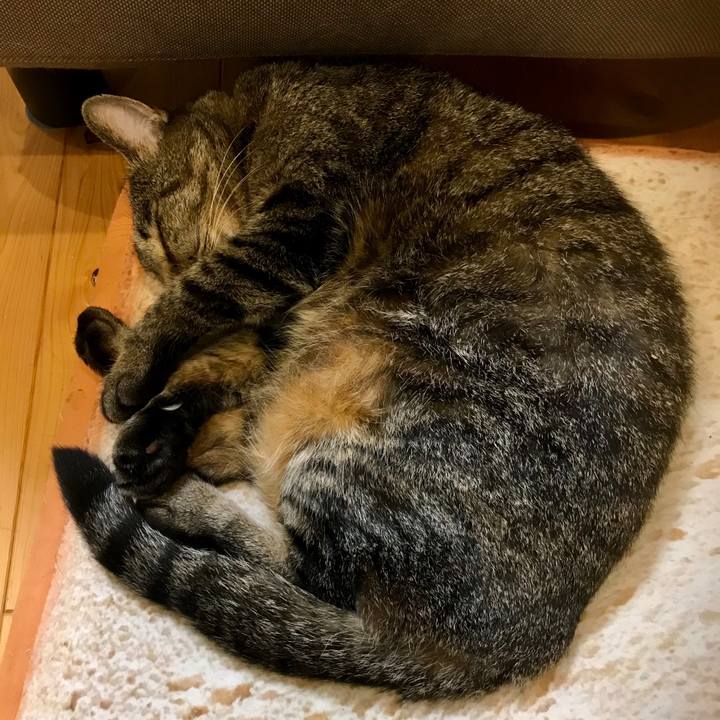 D9b531e5 410f 4a19 9418 8747461ba431 1594734369786