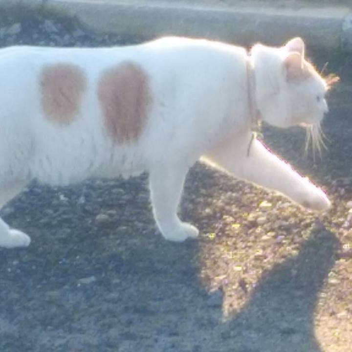 D9b53301 b557 43bb b084 b71a22114aca 1578615166731