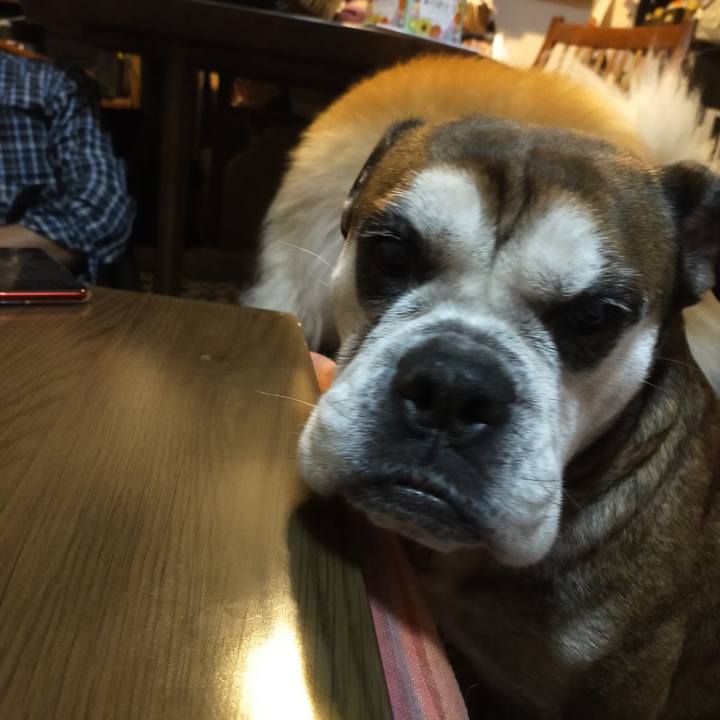 D9b54b54 500e 4d50 a703 c635cb8648e6 1636979642311