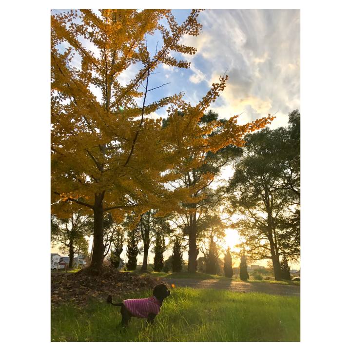 D9b56480 5edc 4a78 a978 553ae8a71959 1542966095228