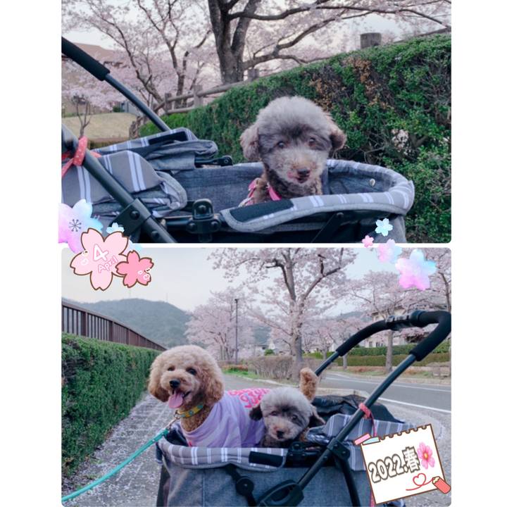 D9b5873e b7aa 4458 8b95 532d69b3fd80 1649323374592