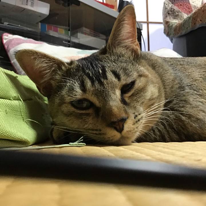 D9b5c96c 8140 4e82 8429 a335be1b6384 1580002734098