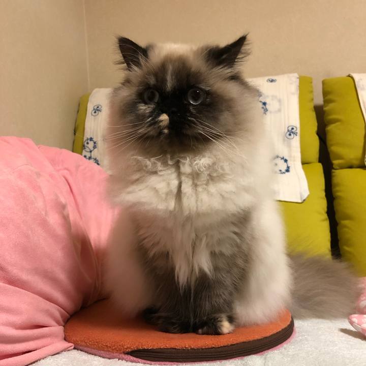 D9b5ecb5 02c3 4107 af14 4f543993f07e 1640519164179