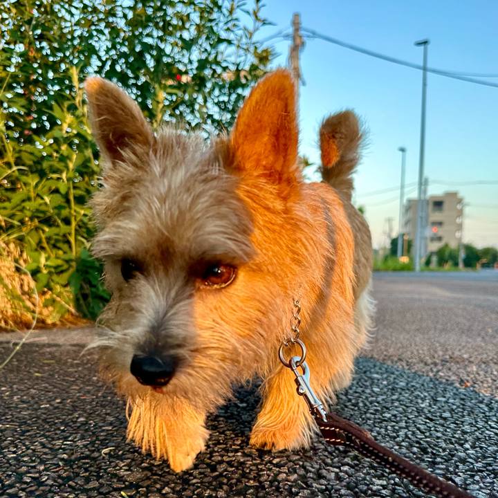 D9b5f1f2 33be 4139 a87f 83a402a2c93a 1721694808525