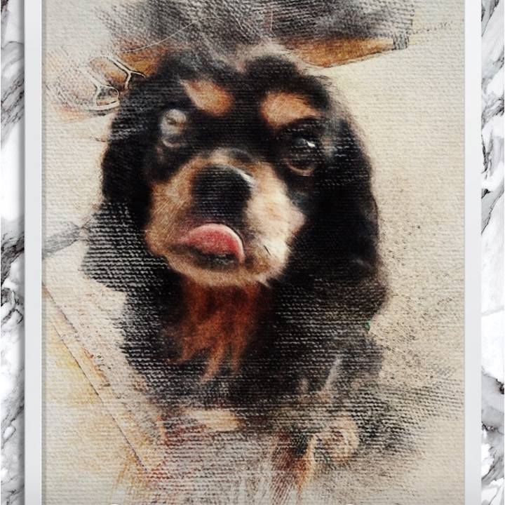 D9b60c04 e6f0 4ca5 8208 00b4799be095 1535503523749