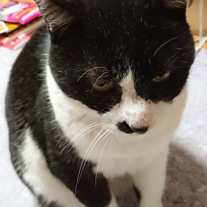 D9b6634c 4608 4c62 a948 dbdf5edf195c 1604227552977