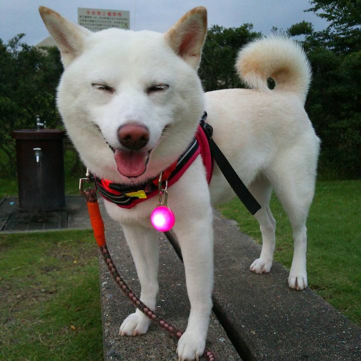 D9b6999d 7ae8 406a a763 6aeff98bec6f 1564310062785