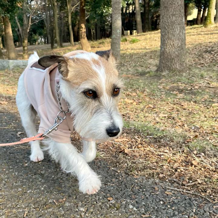 D9b6c553 9877 45dc a486 78f91ade6ccf 1678175566384