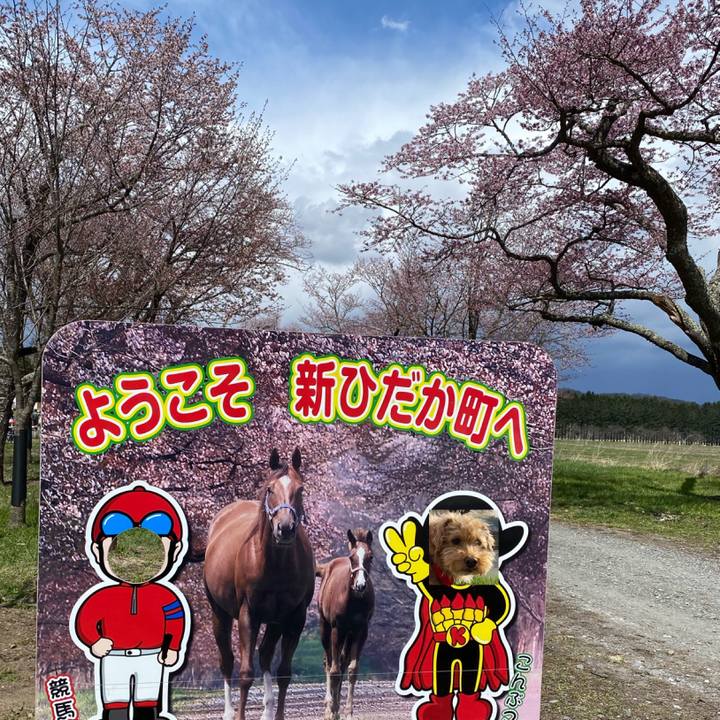 D9b6cda1 fe80 4afc 807b 11c99574e587 1682306275851