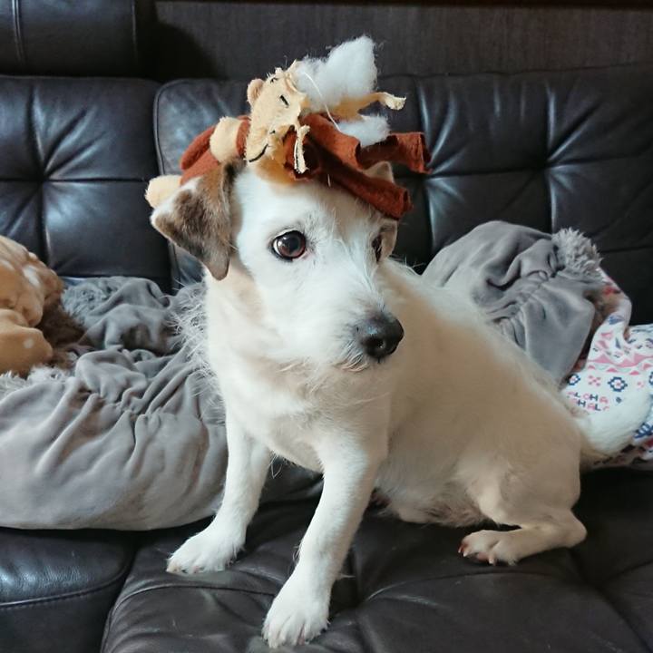 D9b6d7ee 42e1 47d7 9fef 95bd865610d7 1551481561721