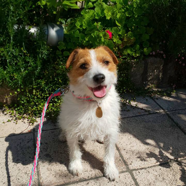 D9b6df7f 9665 40c5 8e8b 3b3af7b88eab 1586567234787