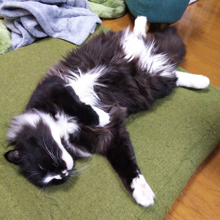 D9b7542e f927 44d2 968b 9608fb373316 1652253263249