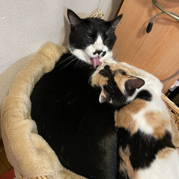 D9b764d9 046d 4e91 84b1 d039047428e6 1672660107336