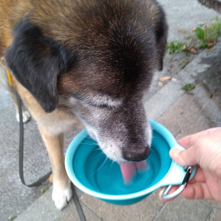 D9b77232 44d2 4f91 b3d4 358f2d2ce06a 1560385141629