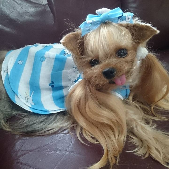 D9b7d788 d4c7 4ccf b439 1376c33ef9d1 1763629783675