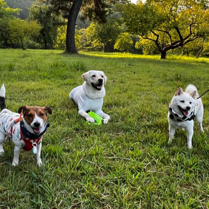 D9b7da18 52d9 431f 9ec3 df8d5c9fdb1a 1756026071112