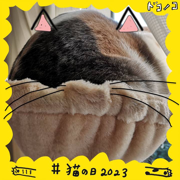 D9b82dca d42e 4b75 85ed ba3dc99a68d3 1677032034340