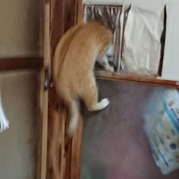 D9b8740c 4f3f 48cd ac5a 769aa5b74030 1555879071703