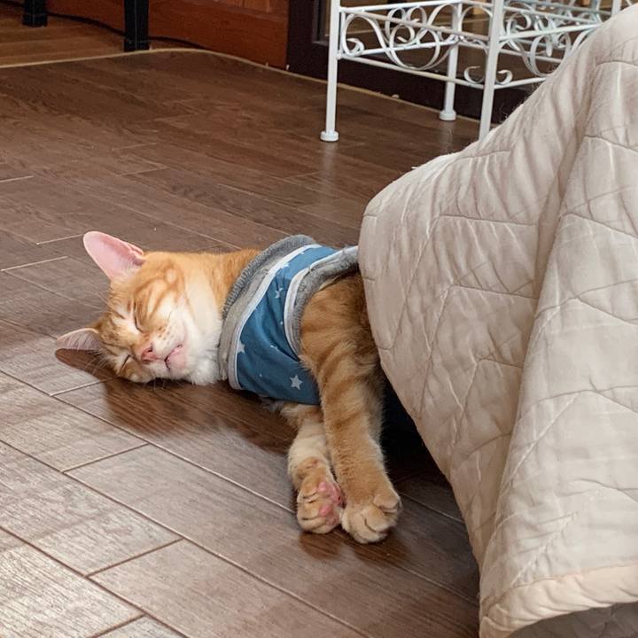 D9b8750c 306e 437a aa0c c4f679b17ba7 1651373804027