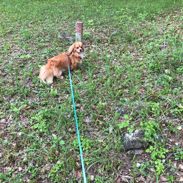 D9b87b57 ca36 4283 9f76 517a3e6c842f 1529796541347