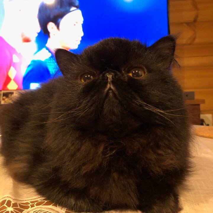 D9b89780 7d52 49cd ac5b f48c380f0df7 1530554727981