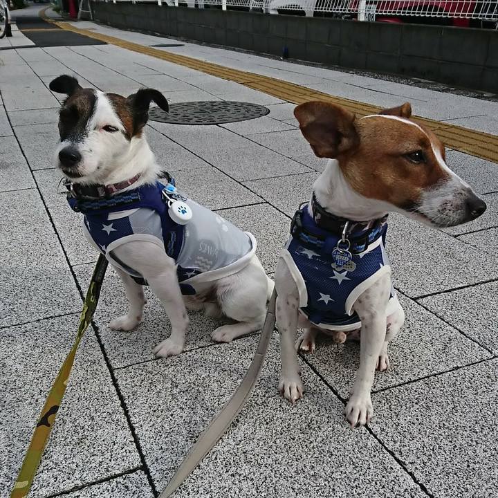 D9b8bfe7 5fcb 4bdf b3f2 e83ea62849a0 1536617570222