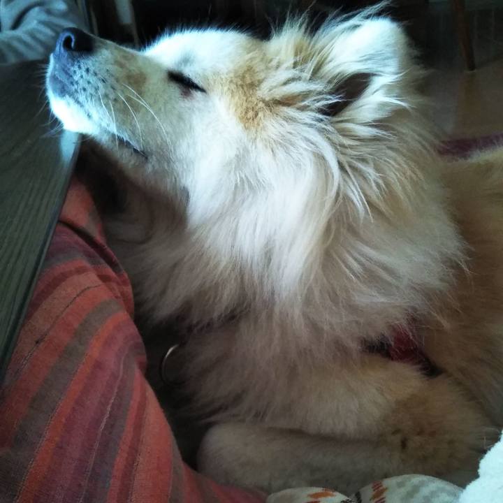 D9b8cffa c0dd 4df0 b1ad 1077a84f43c7 1613826801806