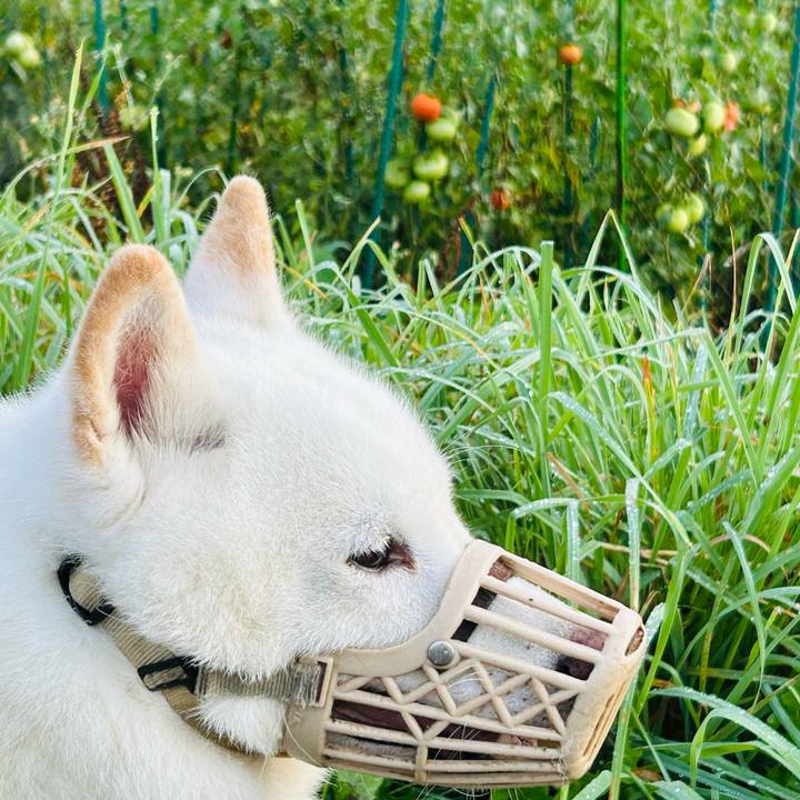 D9b8e305 aa37 4a57 b709 53554f06358b 1755727444349